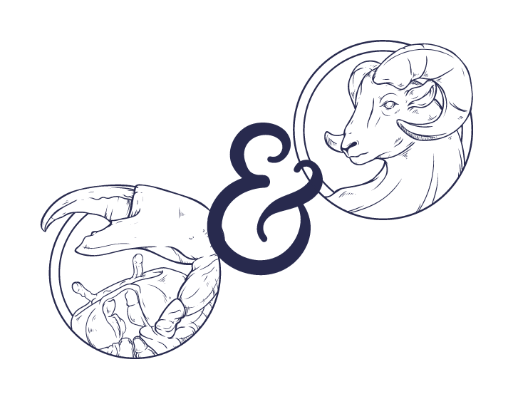 Krebs und Widder