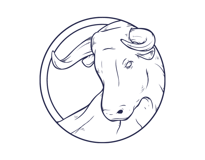 Stier Frau